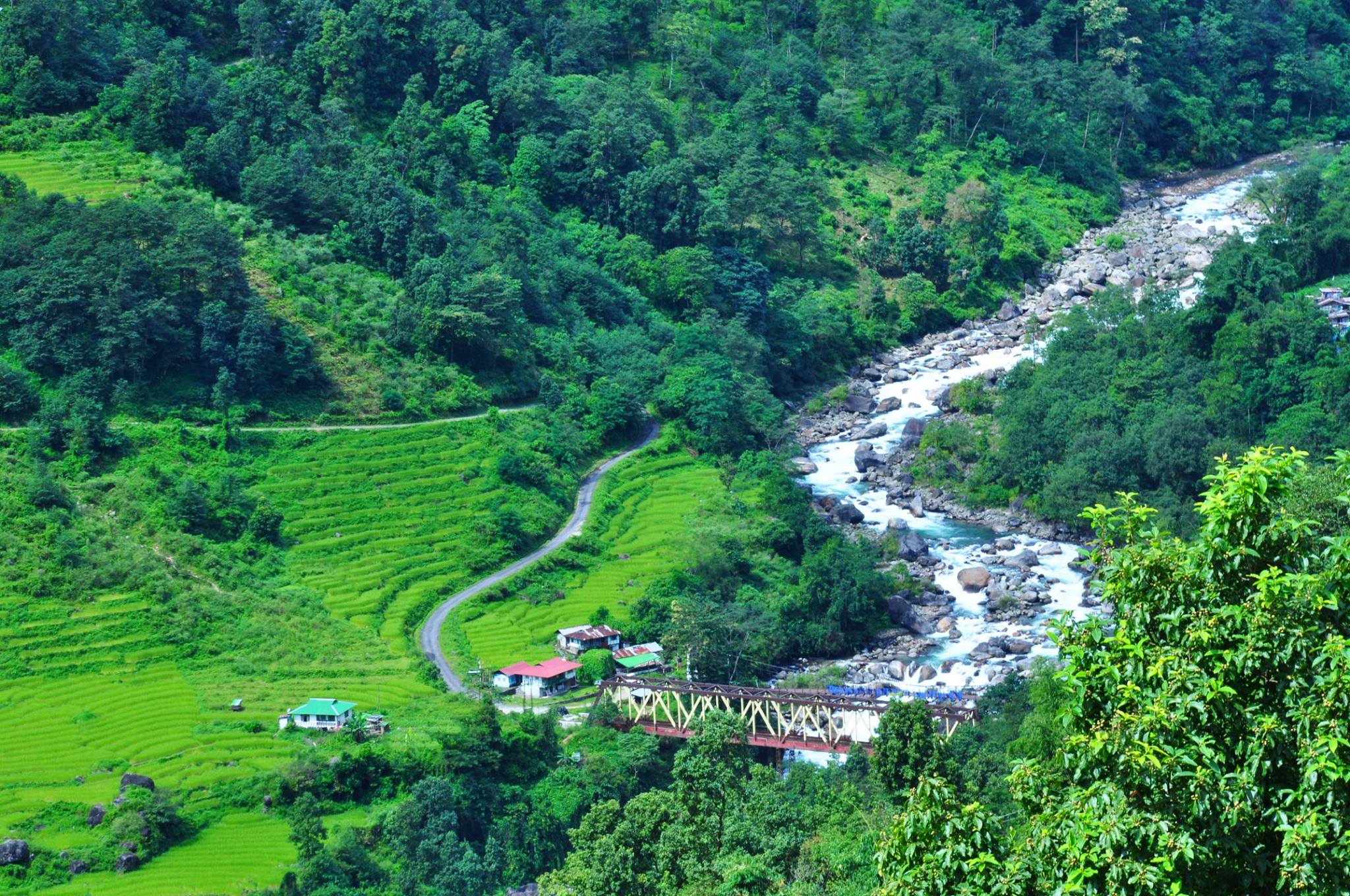 Lossing, Rangpo khola